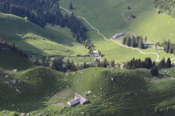 alpages de Gruyère dans le canton de Fribourg