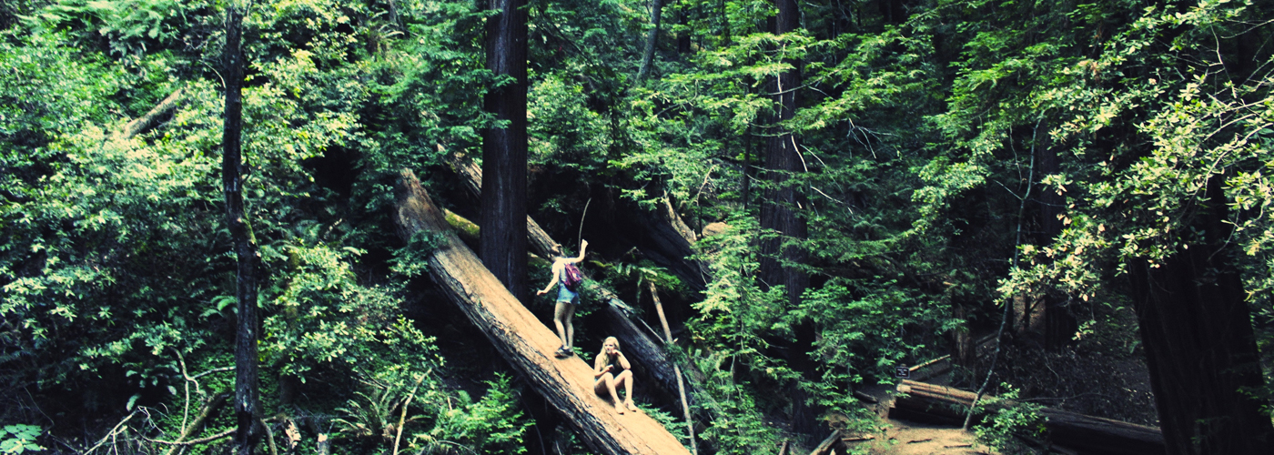 rando en forêt