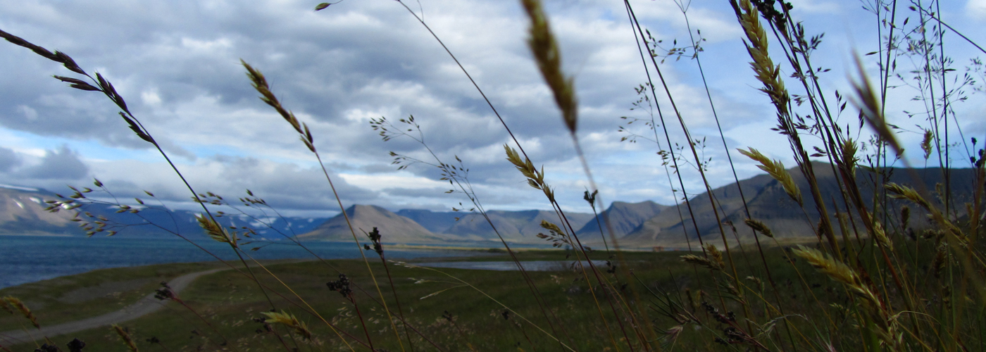 fjords du nord en Islande