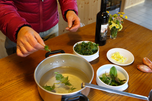 terroir-cuisine-plantes